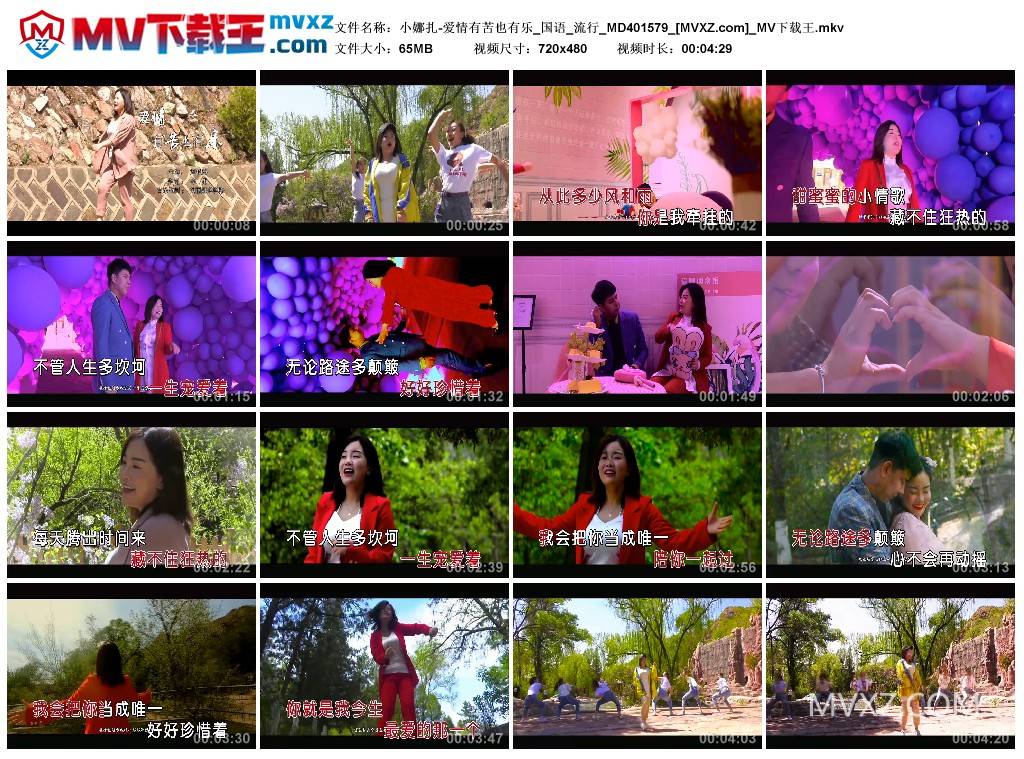 小娜扎-爱情有苦也有乐_国语_流行_MD401579